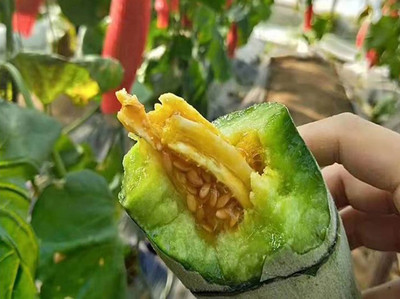 瑞丰羊角蜜